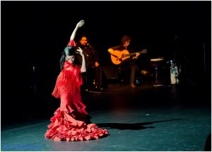 kasandra-flamenco-2-by-brendan-lally